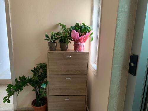 Apartamento Mini Penthouse