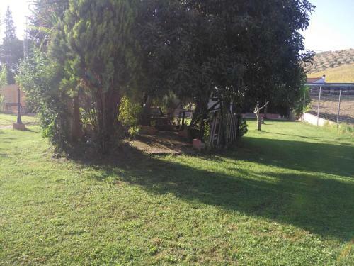 Casa Rural Las Palmeras