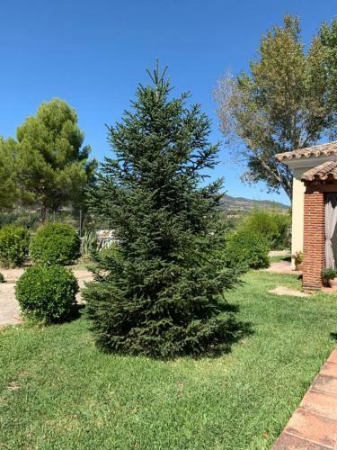 Casa Lola