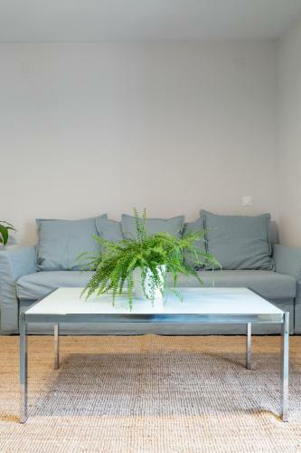 Apartamentos Circulo De Artistas