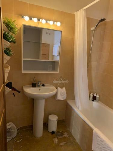 Apartamento Calle Nueva