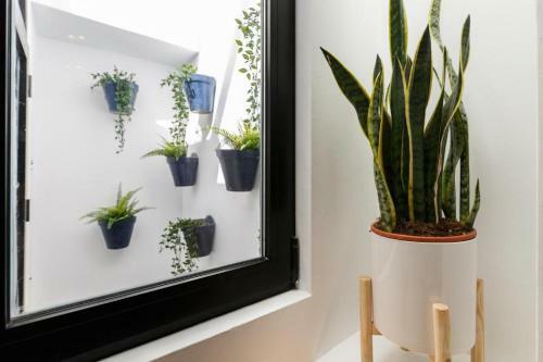 Apartamentos Ceo - Almendra