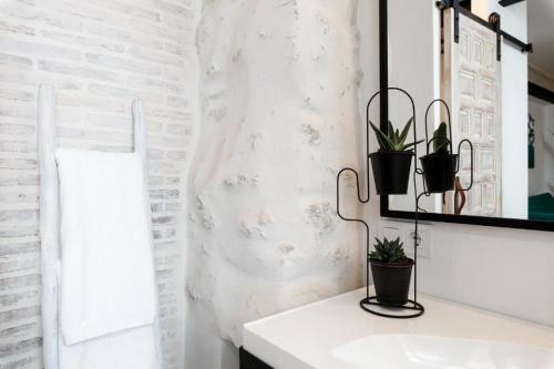 Apartamentos Ceo - Almendra