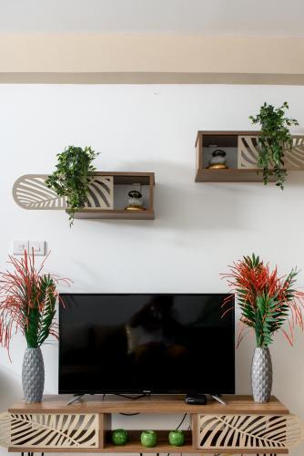 Apartamento Amazonia Flat 102
