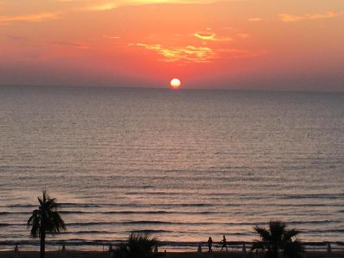 Alex Beach Apartment 503