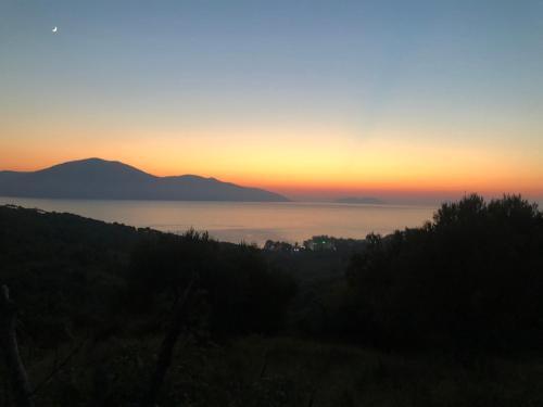Vlora Attractive Holiday Apartment 1