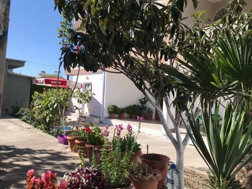 Hostal Colombo