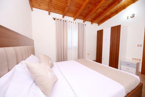 Vila Lution Apartament Villa