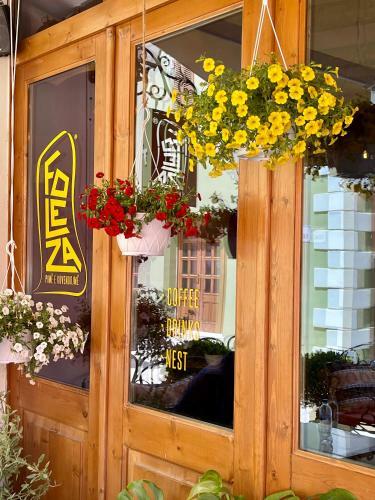 Foleza - Bed And Breakfast