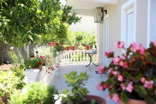 Guest House Narta