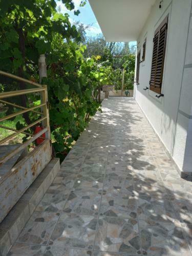 Hostal Dion Apartments