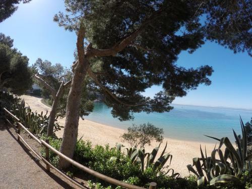 Apartamento New Madrague Beach