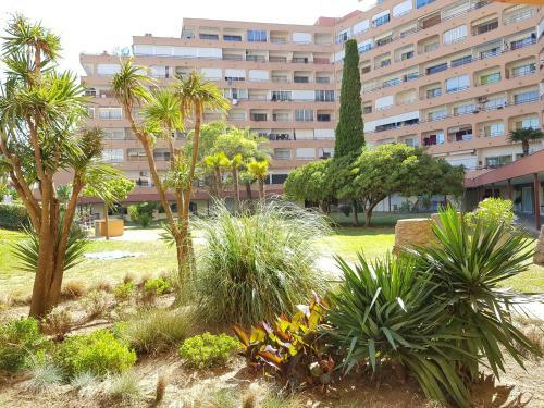 Apartamento Estudio Grisland Pool