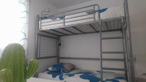 Apartamento Estrella Mar