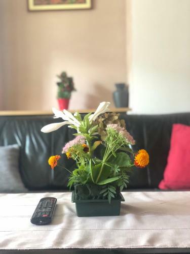 Apartment Near Center