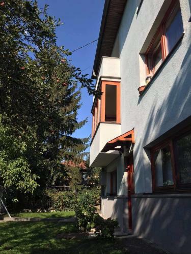 Apartment Near Center