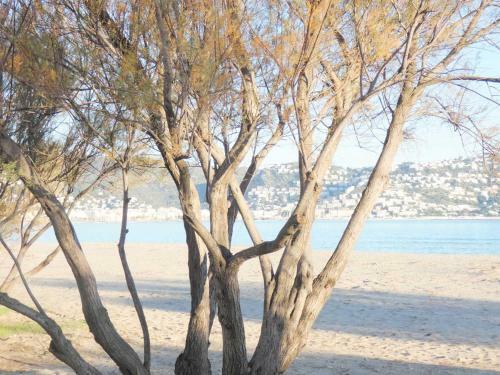 Apartamento Holiday Center 04