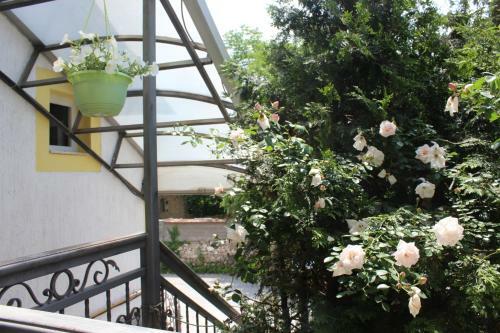 Hotel Pansion Stari Grad