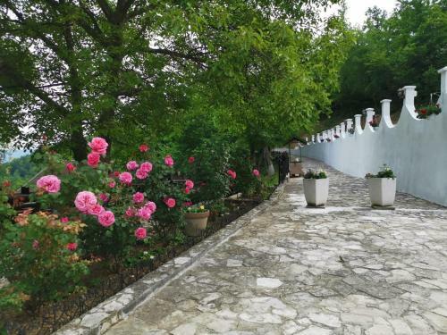 Villa Resort Zafaran By H&h