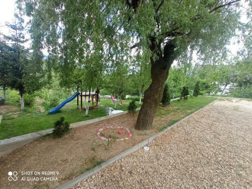 Apartmani Lana