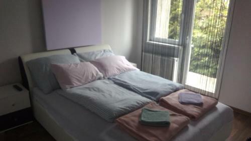 Apartmani Lana