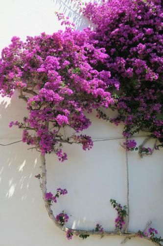 Apartamento Las Rocas - Casa Diaz