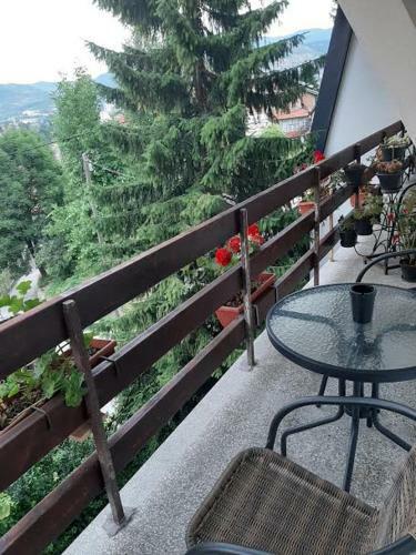 Guesthouse Hill