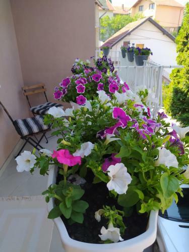 Apartamento Holiday Home Ane