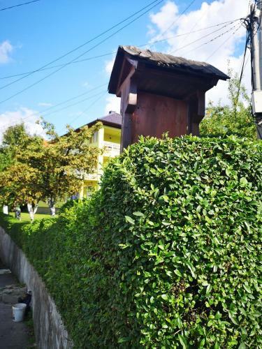 Apartman Hill