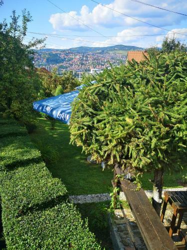Apartman Hill