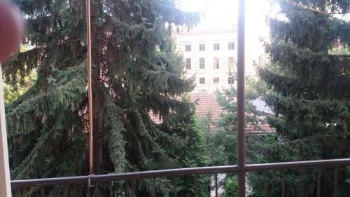 Apartamento Zabel