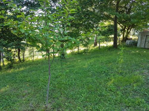 Ilidza Villa Nature