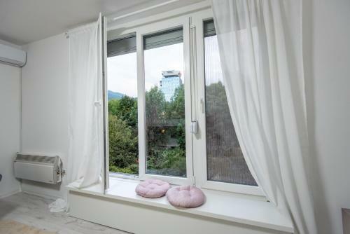 Apartment Kalemova