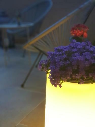 Apartamento Wonderplace