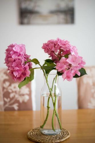 Apartamento Wonderplace