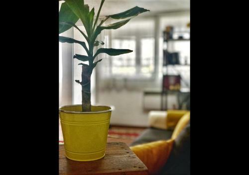 Apartamento Retro Den - Keeping Memories Alive