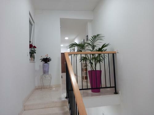Colors Apartments