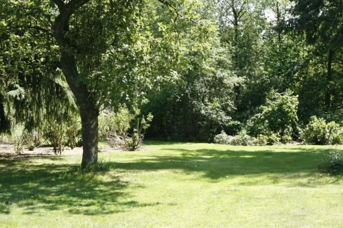 Bed & Breakfast 't Ossenschot