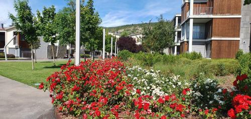Apartamento Pirineo de Huesca, Jaca, Formigal, Panticosa