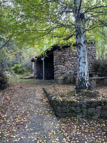 Casa Karodan II