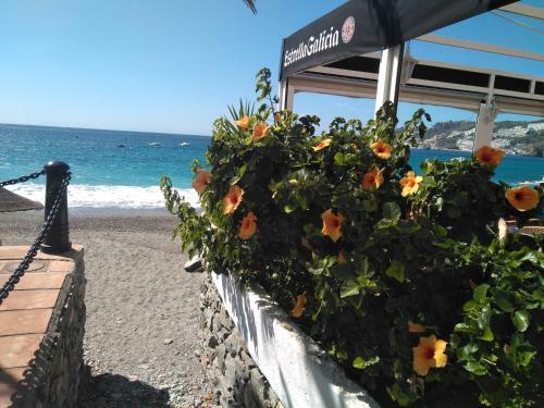 Apartamento Vacaciones En El Mar