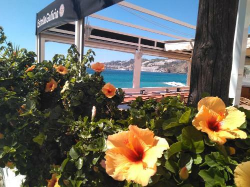 Apartamento Vacaciones En El Mar