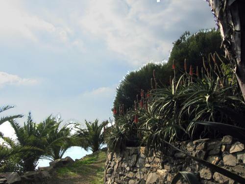 Casas Las Gaviotas Y Palmito