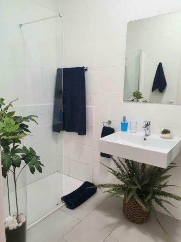 Frontline Beach Apartment