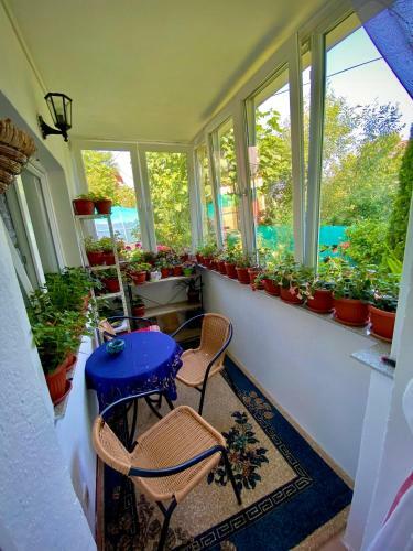 Family Flower House