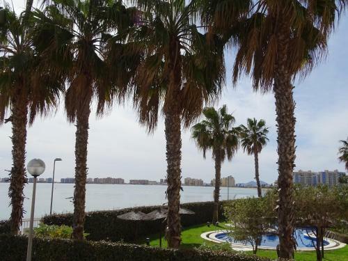 Apartamento Punta Cormoran 4286