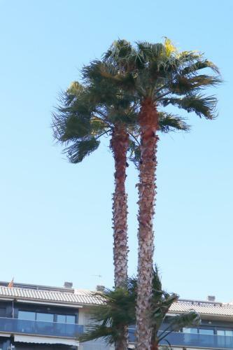Apartamento Sant Antoni De Calonge-costa Brava