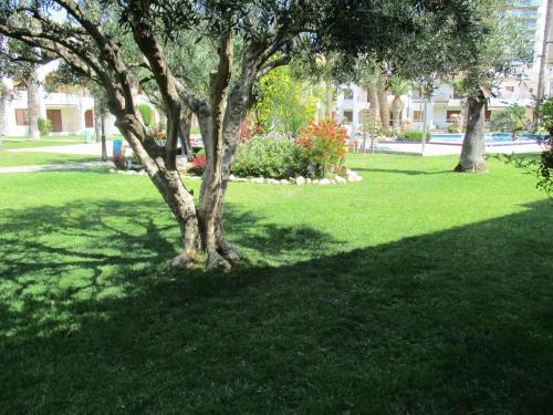 Apartamento Aldeas Taray Admer 4253
