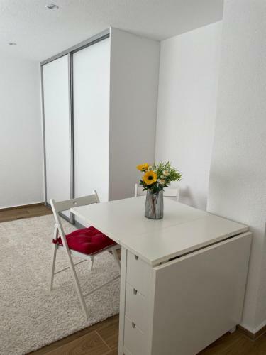 Hadzibeg Apartment