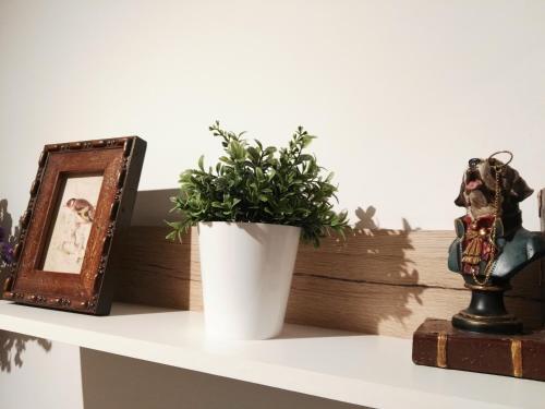 Apartamento San Ciprian Atico Deluxe By I Love Norte